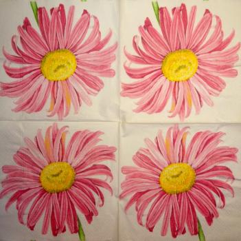 242 Daisies  - 3 ply -